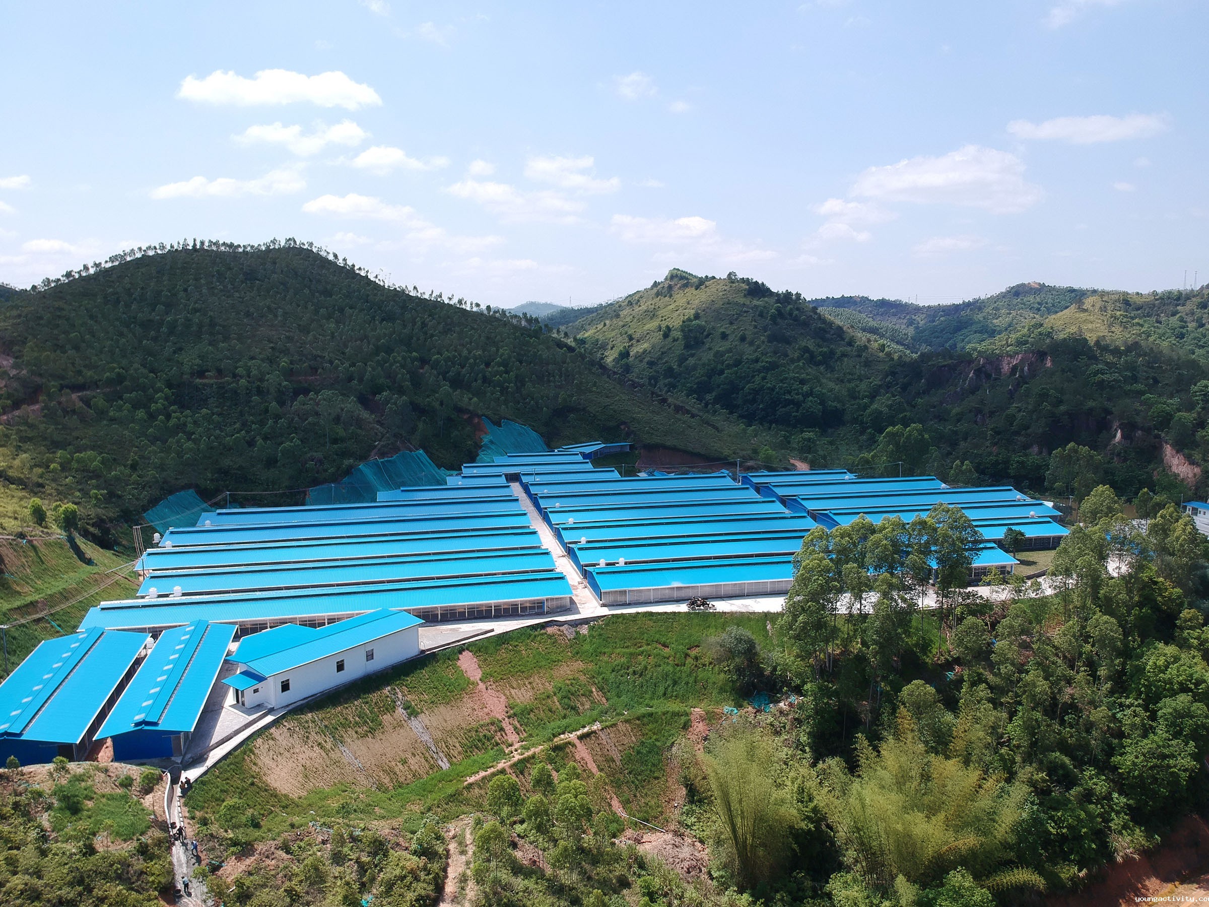 Congratulations to Shun'an Farm on being awarded the title of leading agricultural enterprise at the county level