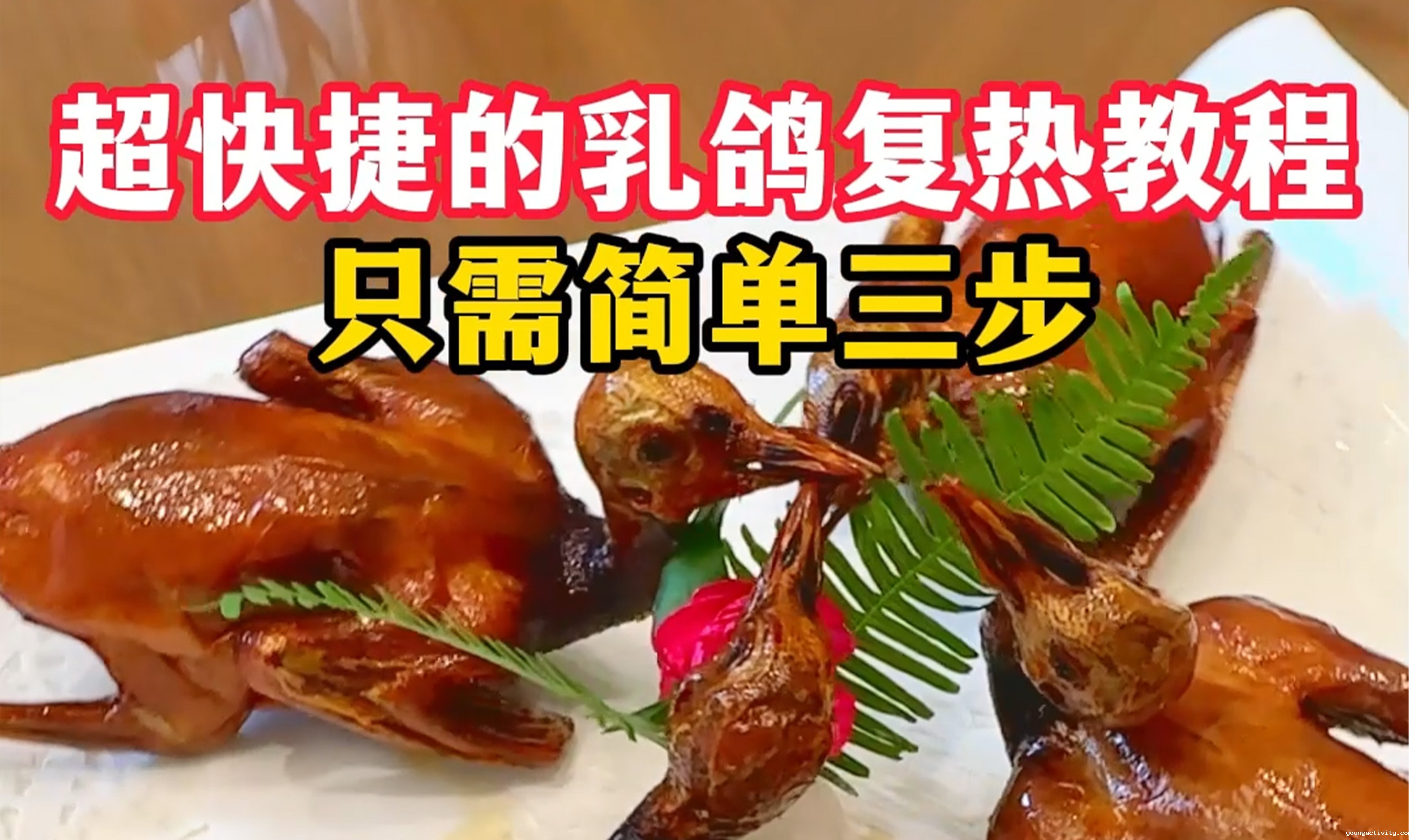 乳鸽复热视频