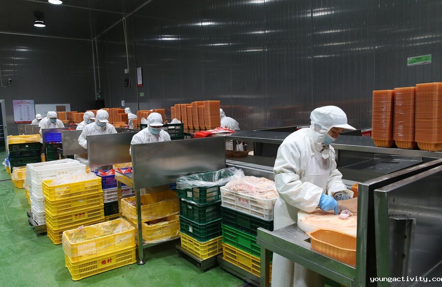 唐新利体育平台官网首页：您信赖的白切鸡食材批发厂家